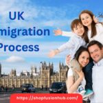 UK immigration process